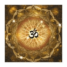 Vishal Singh Chauhan-avatar
