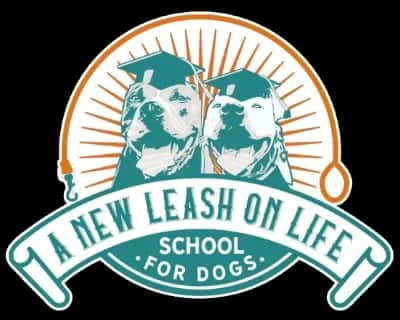 A New Leash on Life School for Dogs-avatar