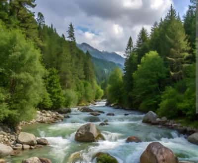 Fountain Waters Healing Holistic Healing-avatar