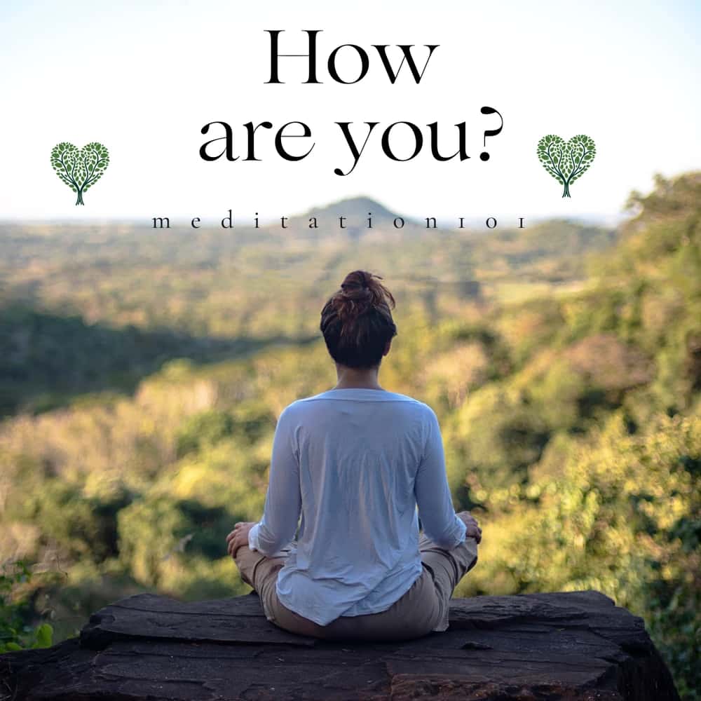 Meditation 101