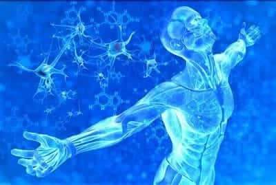 Energy Healing Session