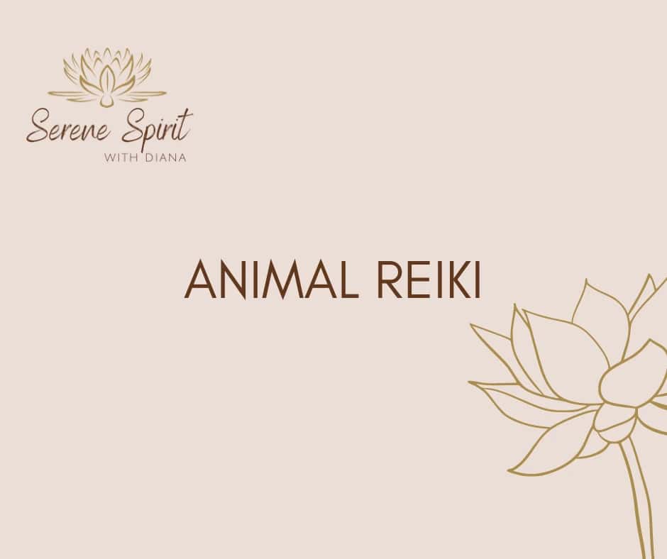 Animal Reiki