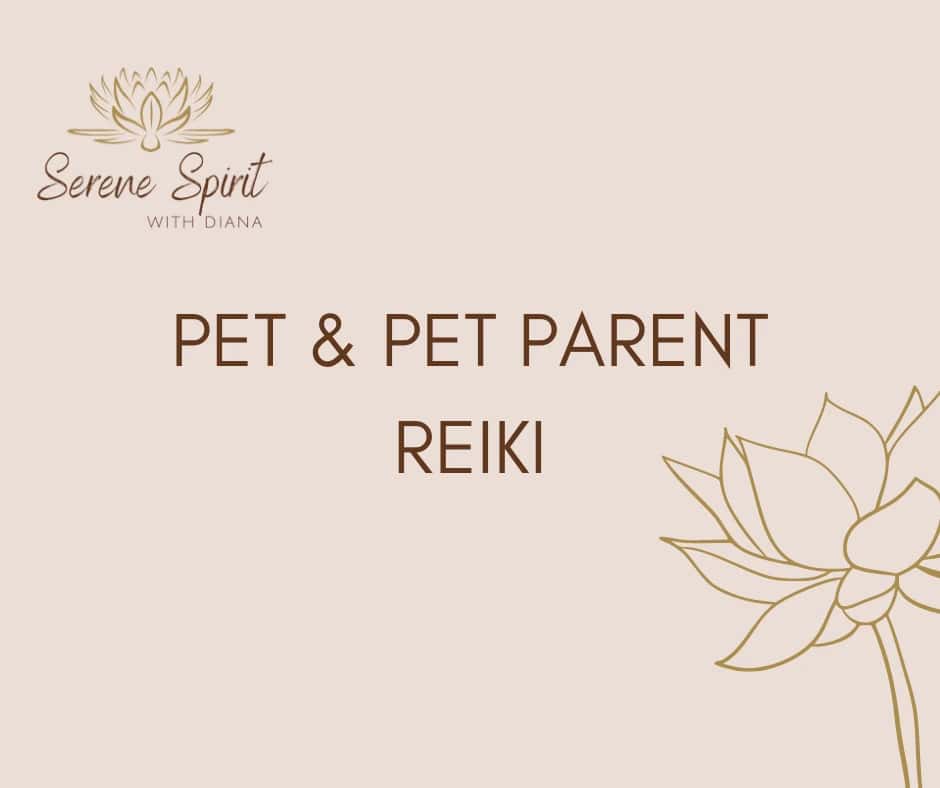 Pet & Pet Parent Reiki