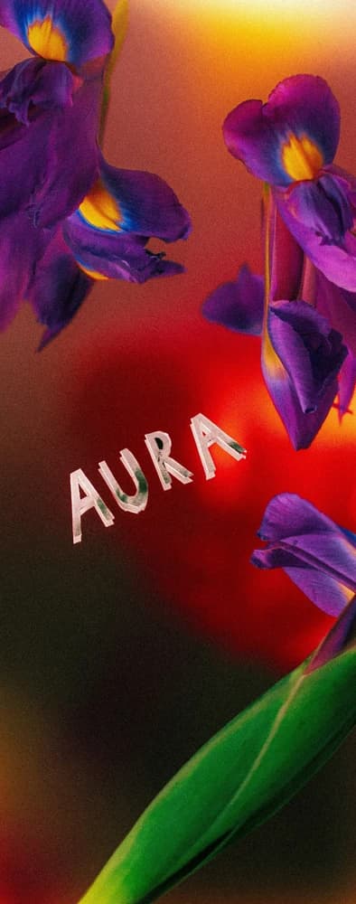 Reiki Aura Clearing (aka Reiki Psychic Surgery)