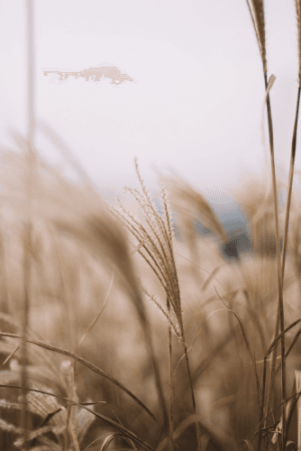"Just need a minute " 15 minute reading, advice and energy feedback session