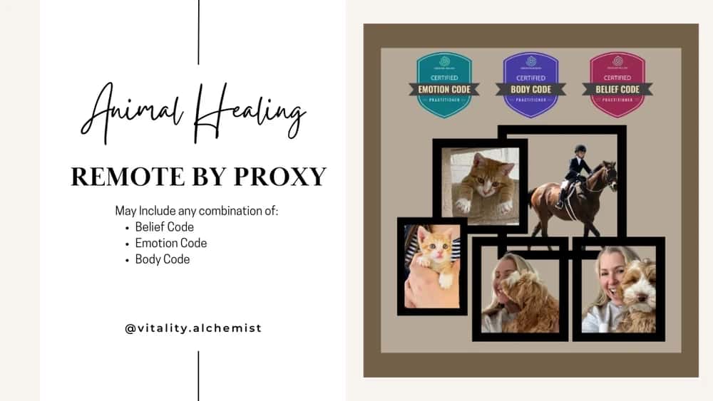 Energy Balancing for Animals (Remote by Proxy over Email)