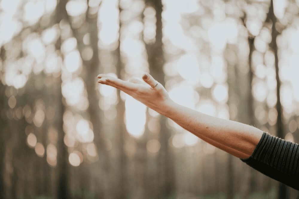 Reiki - 30 Minute Session