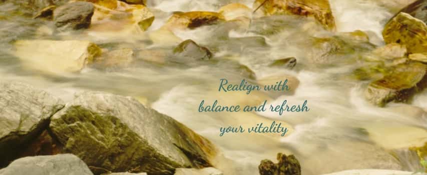 Ayurvedic Renewal
