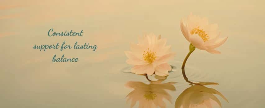 Ayurvedic Transformation Package