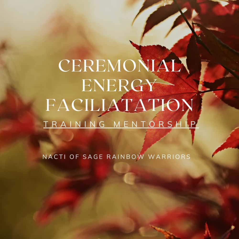 Ceremonial Energy Facilitation Mentorship