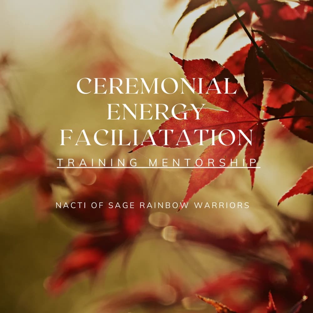 Ceremonial Energy Facilitation Mentorship