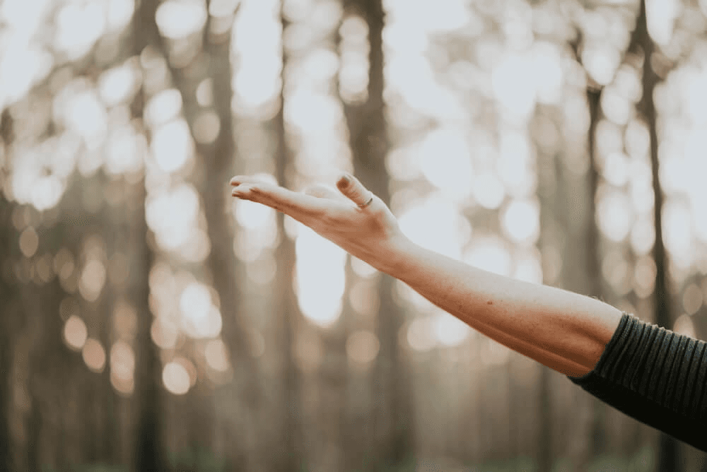 Somatic Mind-body healing