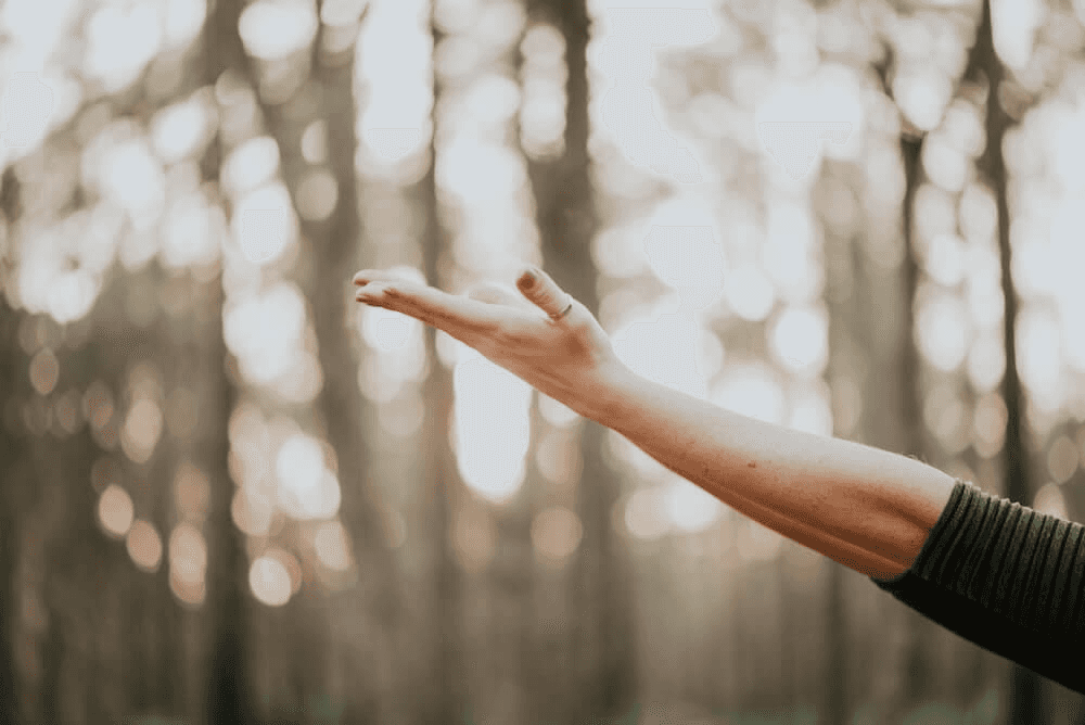 Reiki Energy Clearing & Healing Session