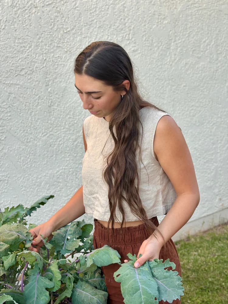 Free 20-minute Consultation