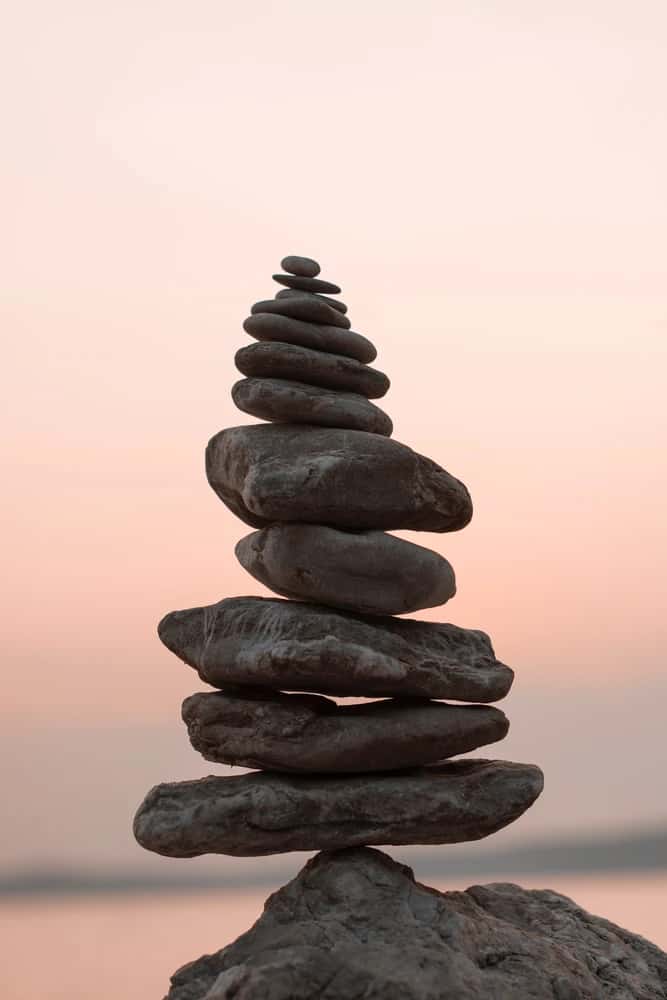 Free Discovery Consultation - Let's Connect!