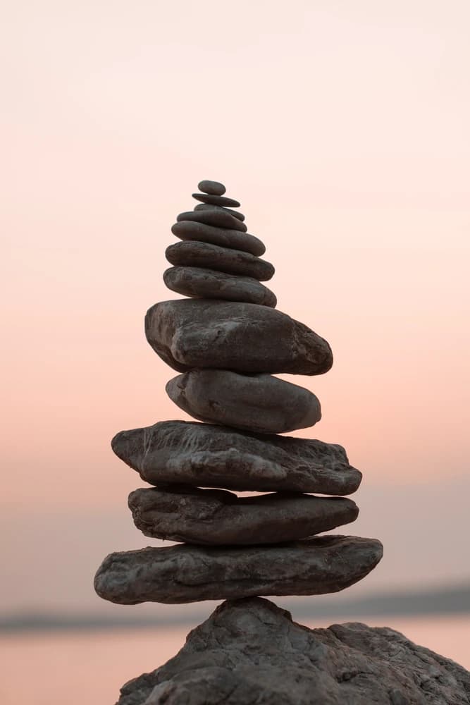 Free Discovery Consultation - Let's Connect!