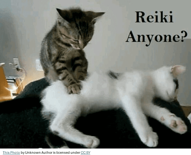 Pet Reiki