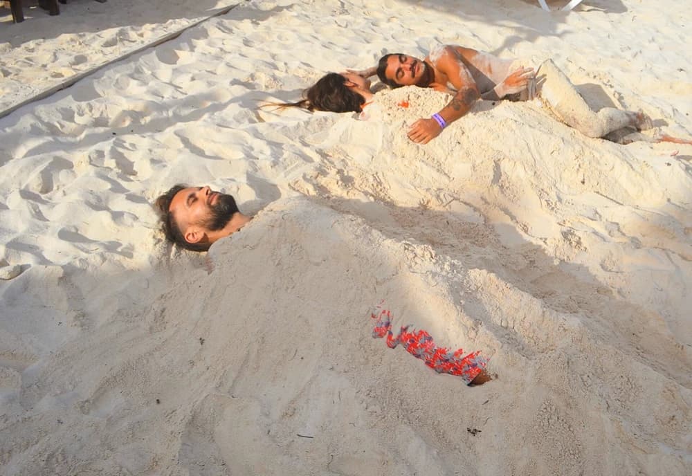 Day Rate integrative healing including iridology based personalized herbal earthing detox regime & quantum modalities.