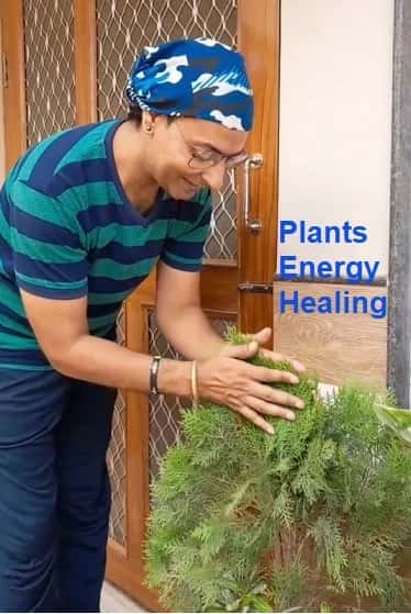 Plan/Trees Healing Session- 5 Days