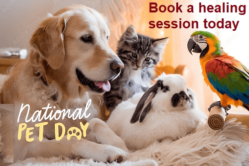 Pet Animal healing Session-5 Days