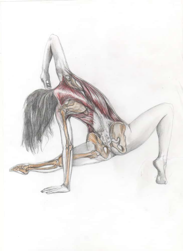 Dance Movement Therapy