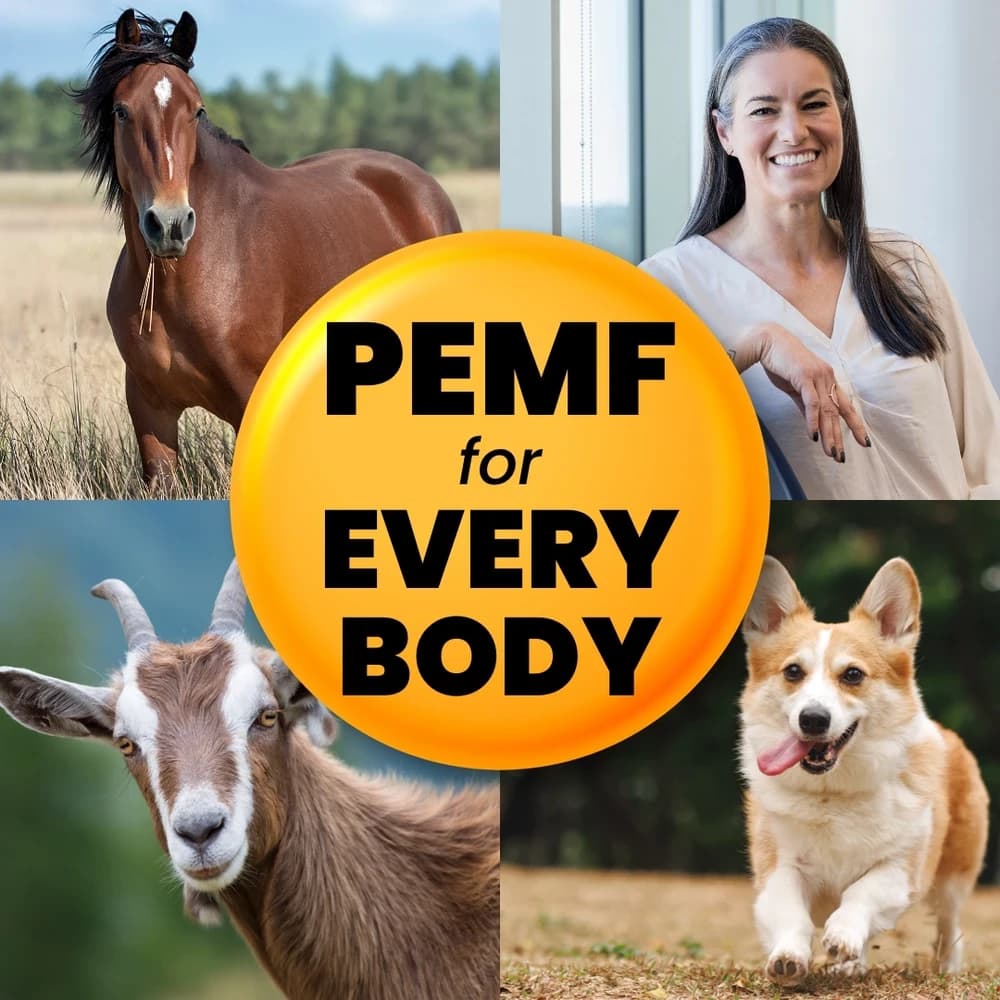 PEMF energy work (mobile to you)