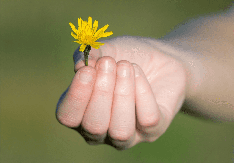 Gratitude Therapy Session with Reiki