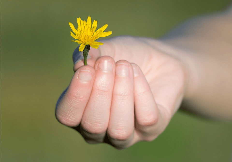 Gratitude Therapy Session with Reiki