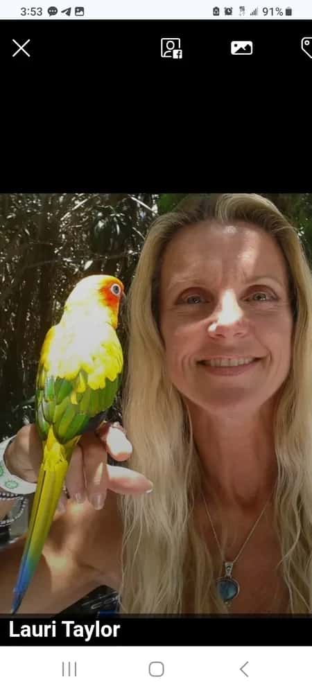 Animal & Pet Healing including Wild Life