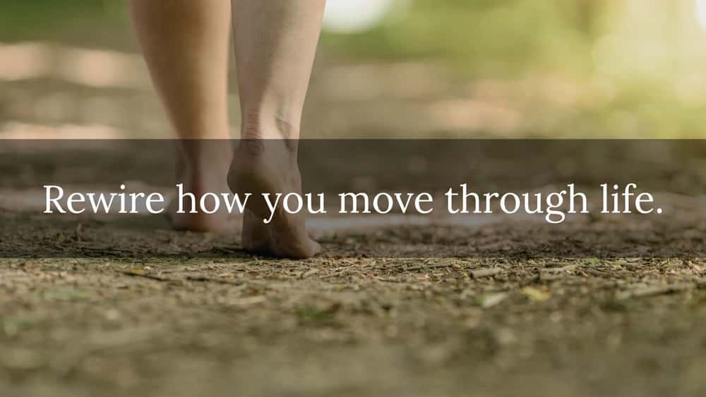 Somatic Life Coaching & Nervous System Support