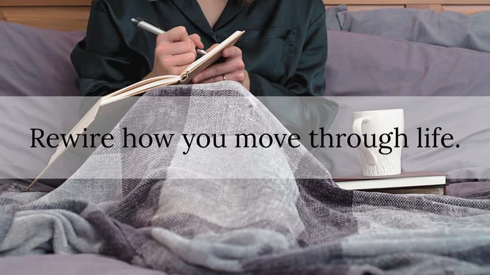 Somatic Life Coaching & Nervous System Support