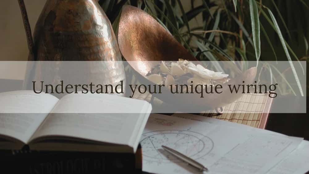 Human Design Blueprint + Embodiment Guidance