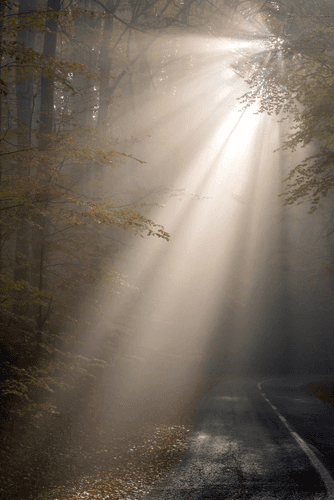 Guided Reiki Infused Grounding & Calming Meditation