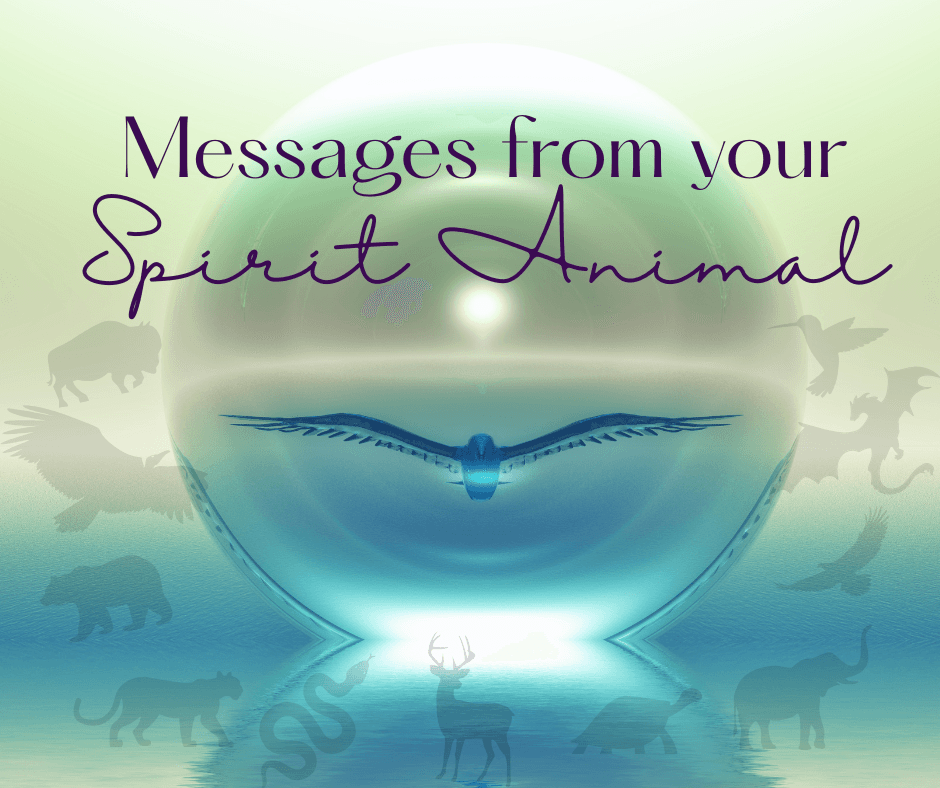 Meet Your Animal Spirit Guide/ Ally