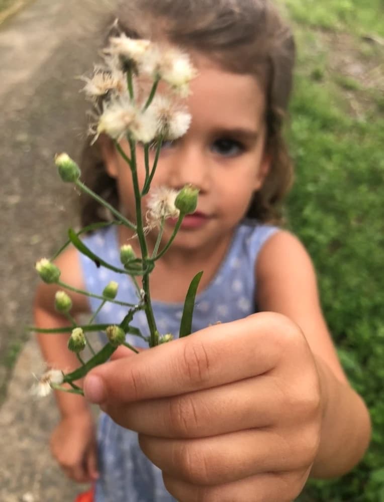 Parent Clarity Session