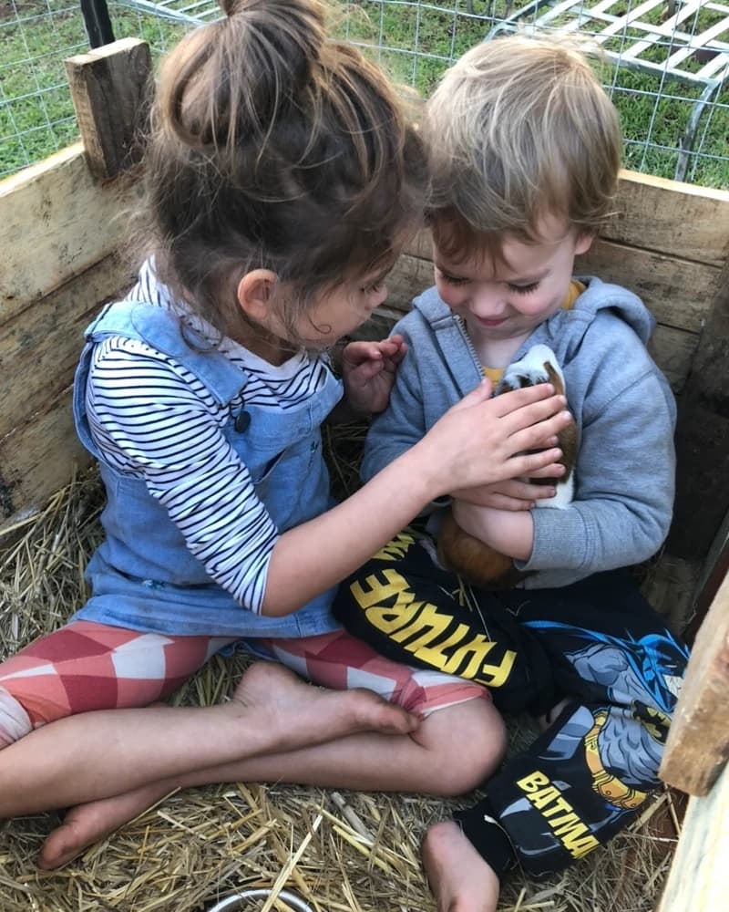 Family Dynamic Insight Session