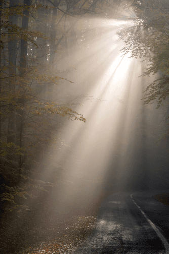Energy Healing for Abundance