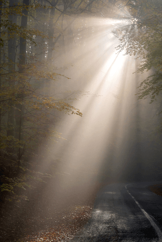 Energy Healing for Abundance