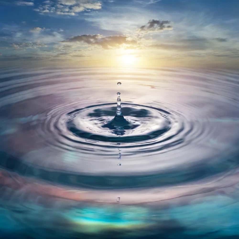 Soul Embodiment Deep energetic reading + release at the primordial root. Opens the path to sovereignty