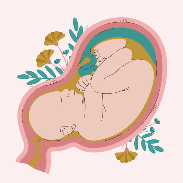 Holistic Pregnancy/Postpartum Prep
