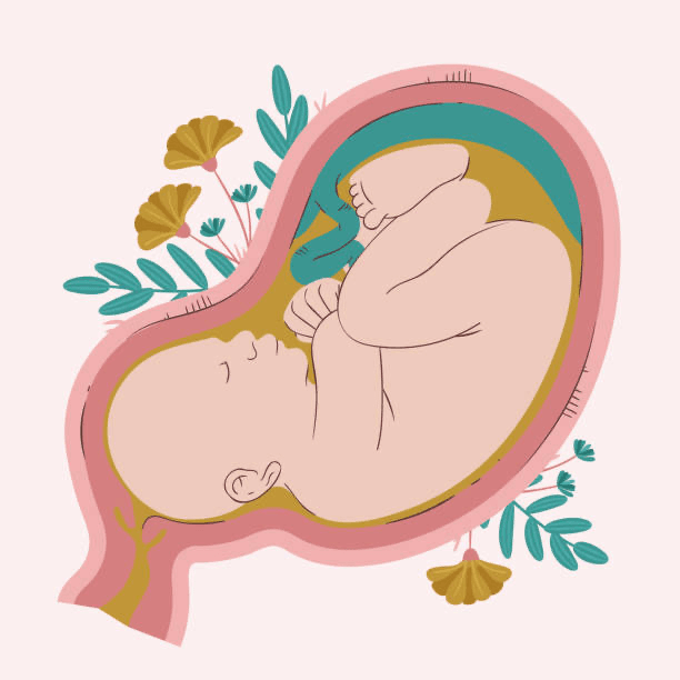 Holistic Pregnancy/Postpartum Prep