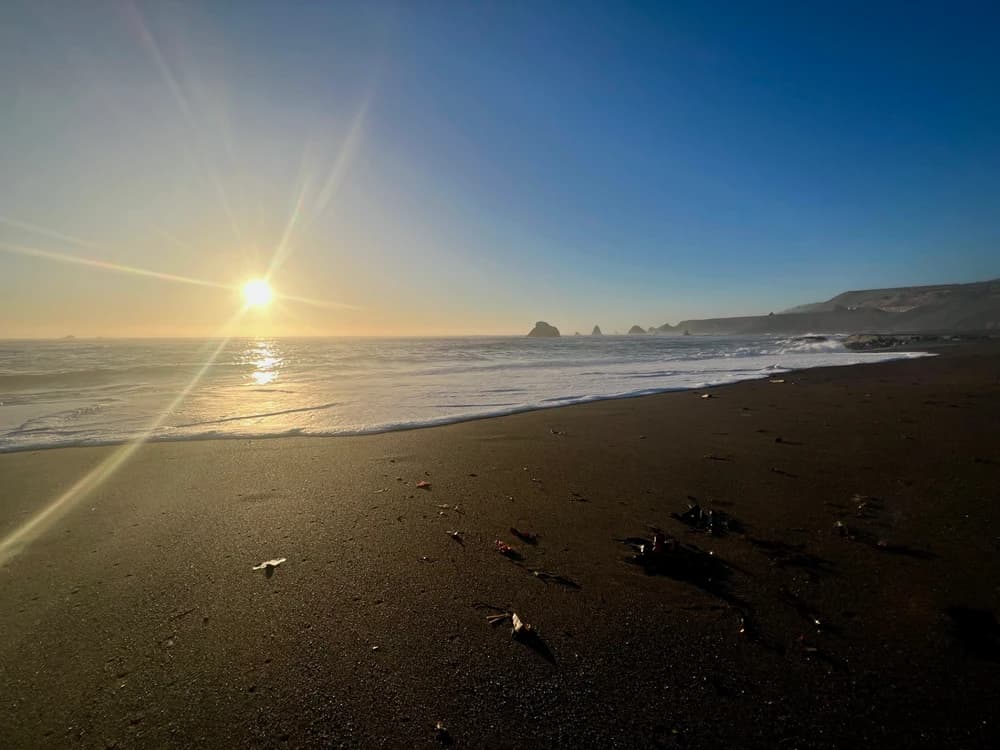 Sacred Hour of Healing and Renewal