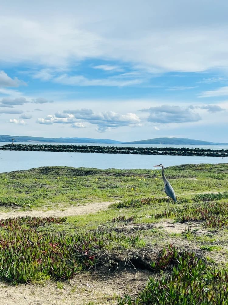 Sacred Connection: Complimentary 15-Minute Introductory Session