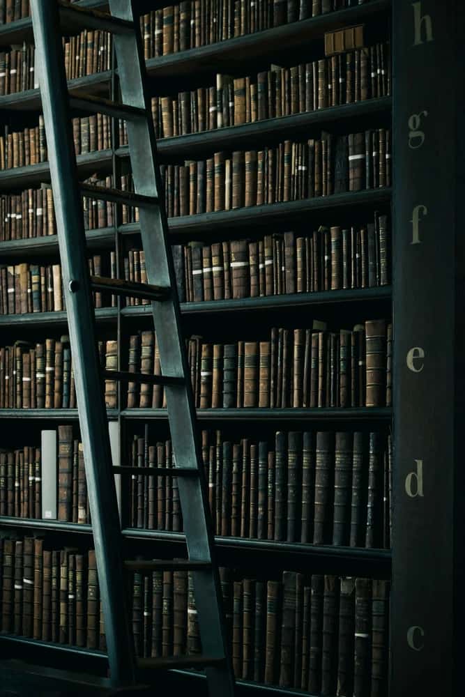 Past Life Regression: Online or In person