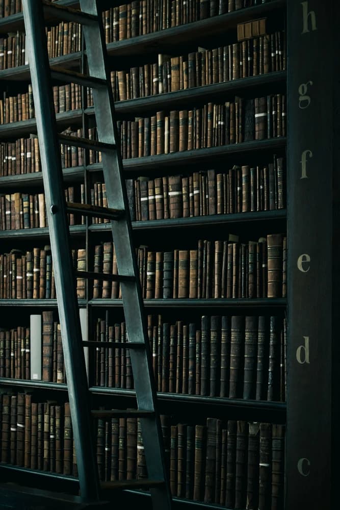 Past Life Regression: Online or In person