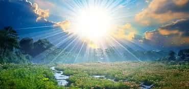 Light Between Lives