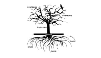 **Holistic Consultation