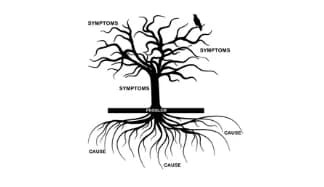 Holistic Consultation