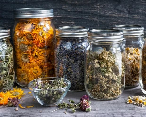 Functional Teas-Gentle Daily-Use