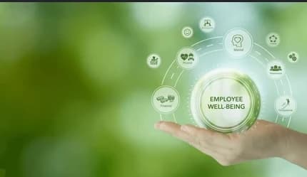 Corporate Holistic Wellness